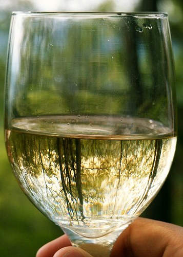 wine-calice-vino-bianco