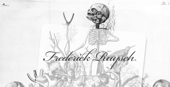 FrederikRuysch_pre