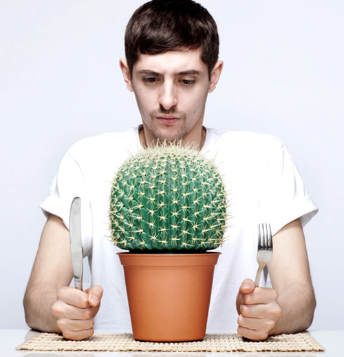 dj_bok_bok