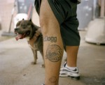 In dog we trust | Ollie Grove