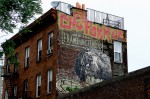 Gaia Street Art