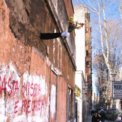 via di torpignattara ex arena flora