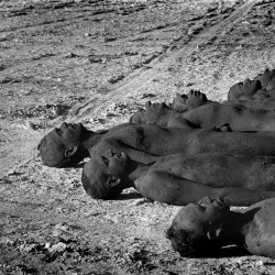 USA. Nevada. Black Rock City. Burning Man Festival. 2001