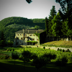 Santuario della foresta