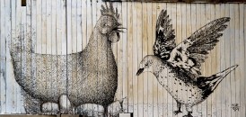 la gallina e la rondine