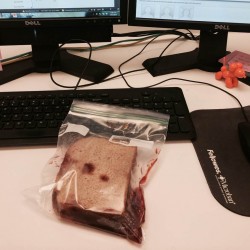 "At first I thought this was one of those sandwich bags that purposely print the mold so co-workers won’t be tempted to eat your sandwich. But, it’s not."