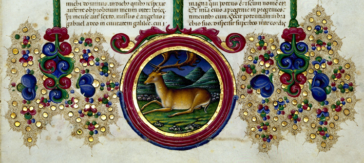La scrittura splendente. tesori manoscritti dalle biblioteche italiane