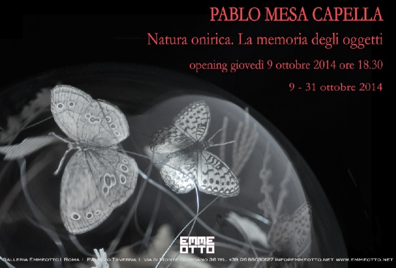 Natura onirica. La Memoria degli oggetti di Pablo Mesa Capella