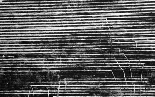 Sten+Lex, Matrici Distrutte alla Wunderkammern Art Gallery - foto di Stefano Pontecorvi