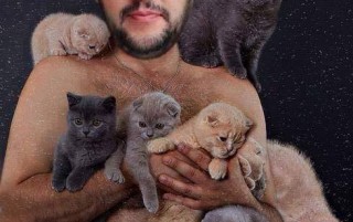 #gattinisusalvini