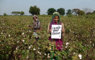 Cotton Farmer