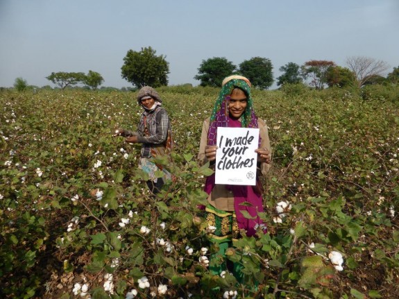 Cotton Farmer