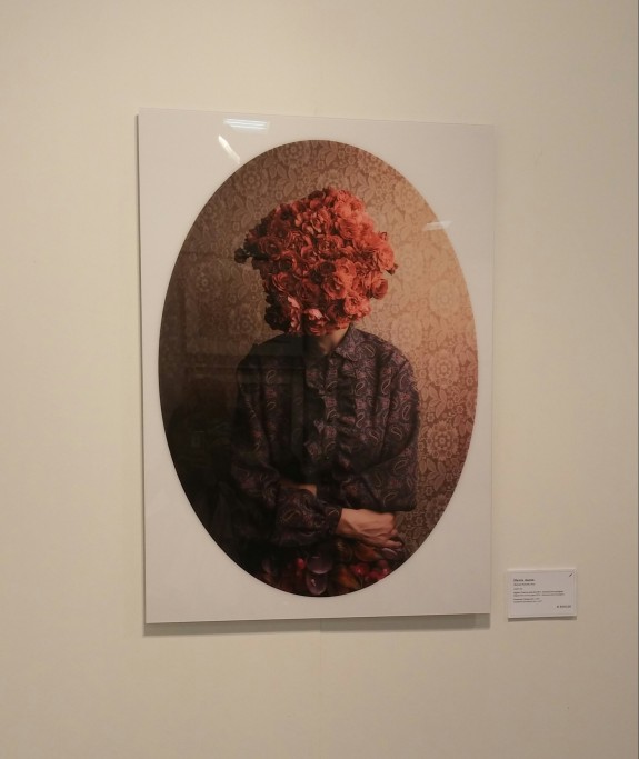 Flower Portrait, Aron Slevin Galleria Alidem