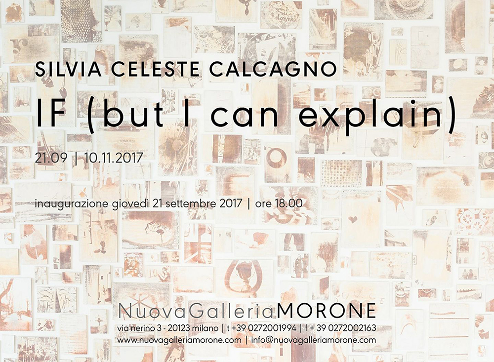 IF (But I Can Explain), project room di Silvia Celeste Calcagno