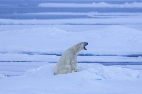 Surriscaldamento globale